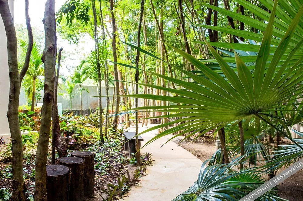 Condo Hotel El Vivero Tulum Mexico