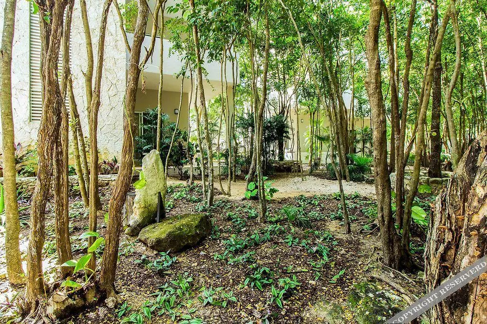 Condo Hotel El Vivero Tulum Mexico